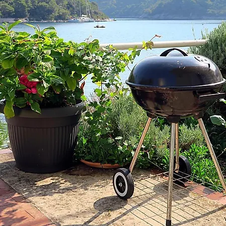 Okuklje 4912e Apartamento Babino Polje